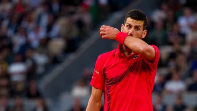 novak-djokovic-serbia-reacts-jannik-1001010662.jpg